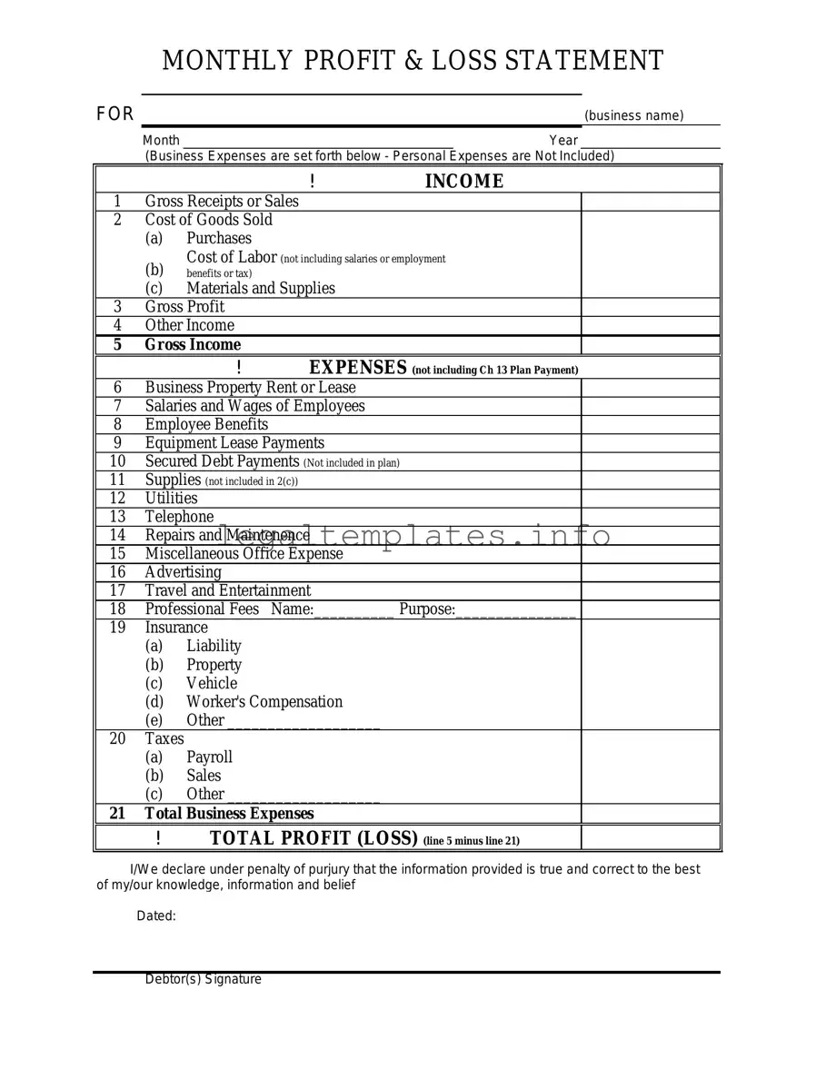 Fill a Valid Profit And Loss Form