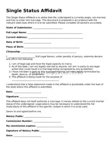 Fillable Single Status Affidavit Document
