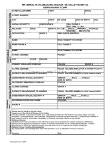Fill a Valid Patient Demographics Form