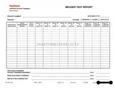 Fill a Valid Megger Test Form