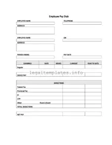 Fill a Valid Pay Stub Form