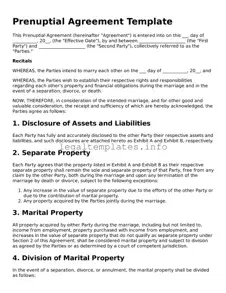 Fillable Prenuptial Agreement Document