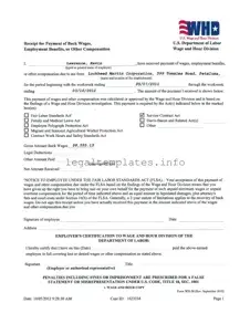 Fill a Valid Wh 58 Form