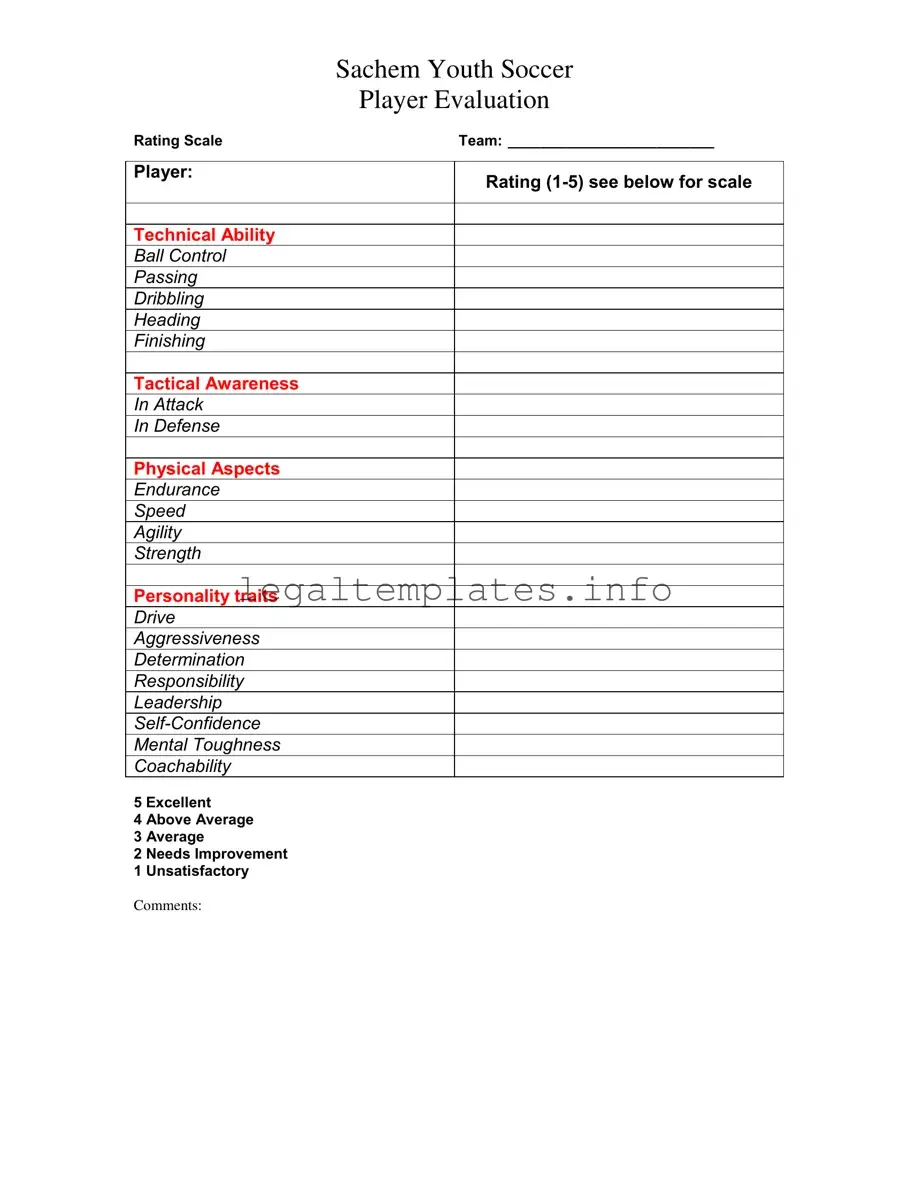 Fill a Valid Soccer Player Evaluation Form